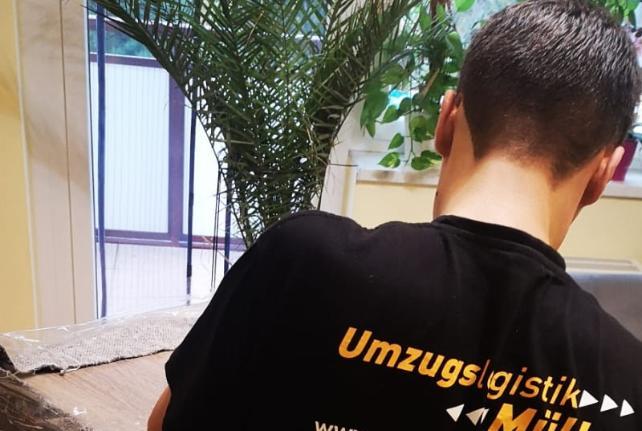 Laborumzug Coswig stressfrei umziehen 